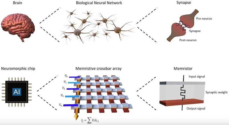 Mimicking the human brain with a neuromorphic chip